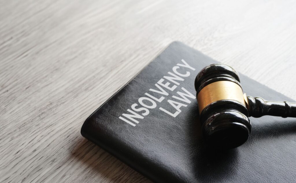 insolvency law south africa